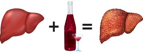 Levervärden alkohol återhämtning